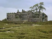 Wuthering Heights