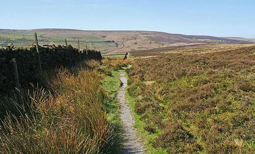 Path onto the Moors