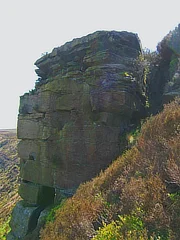Ponden Kirk close-up