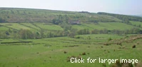 Example of moorland around Thrushcross